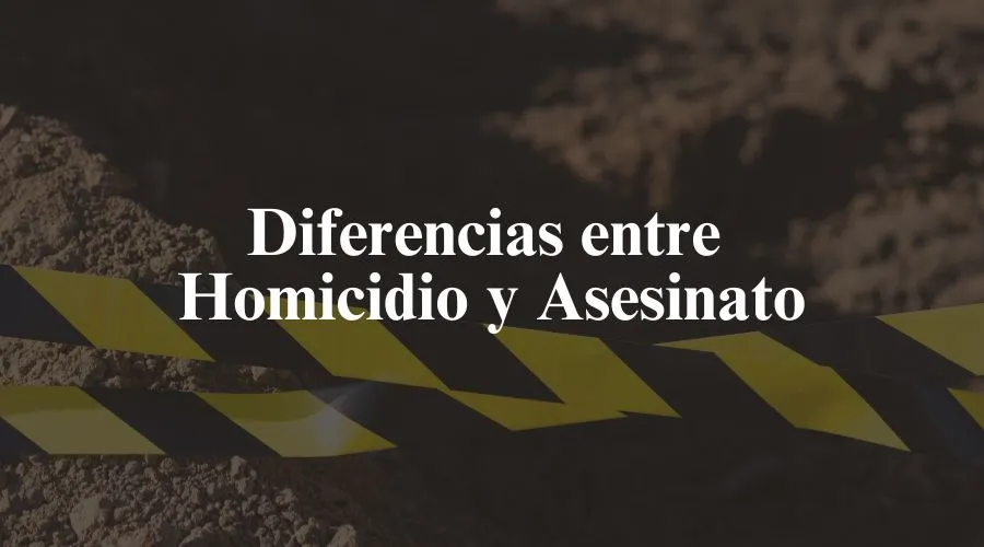 Ley Okupa